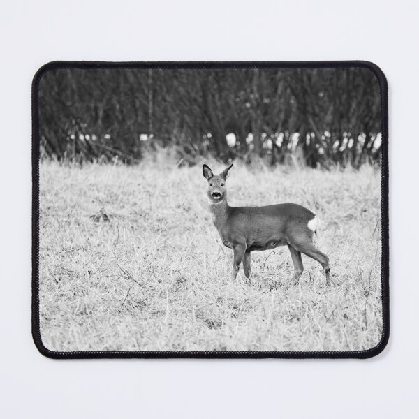 Item preview, Roe deer on the fields bw designed and sold by Jouko Lehto Photography.