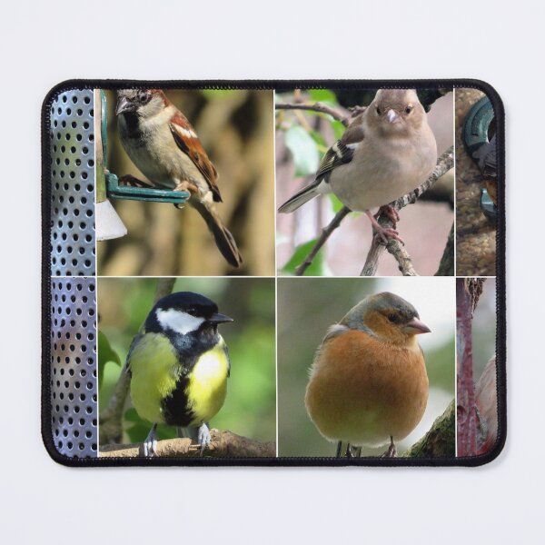Item preview, birds designed and sold by KathleenDawson.