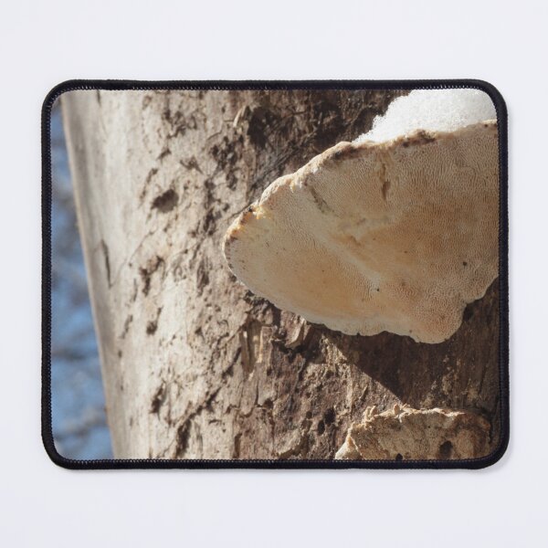 Item preview, Mushroom Conk Dusted with Snow designed and sold by WolfNoodles.