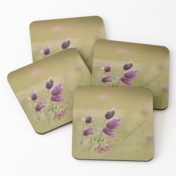 Item preview, The Pasque in the wild  designed and sold by miradorpictures.