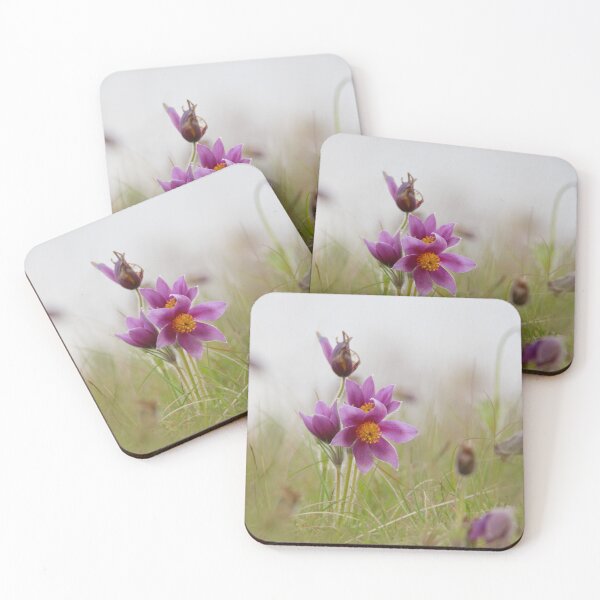 Item preview, Perfect Pasqueflowers  designed and sold by miradorpictures.