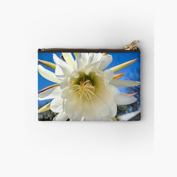 Item preview, Trichocereus Catus Flower, North Hollywood, California designed and sold by Douglas E. Welch Design and Photography.