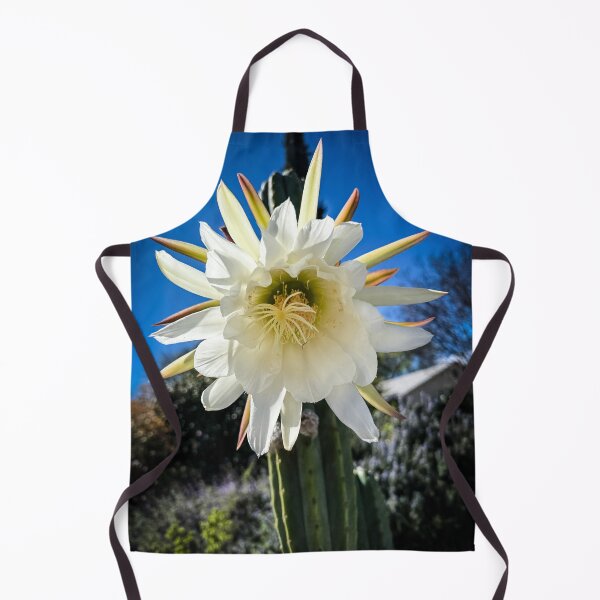 Item preview, Trichocereus Catus Flower, North Hollywood, California designed and sold by Douglas E. Welch Design and Photography.
