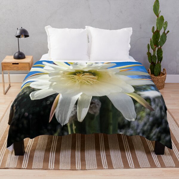 Item preview, Trichocereus Catus Flower, North Hollywood, California designed and sold by Douglas E. Welch Design and Photography.