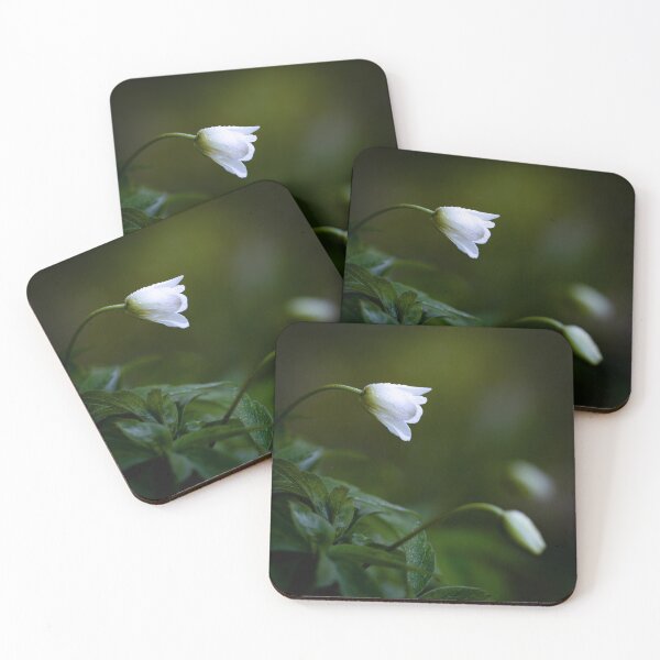 Item preview, Wood Anemone Photographic Print designed and sold by Jann3s_Ts.