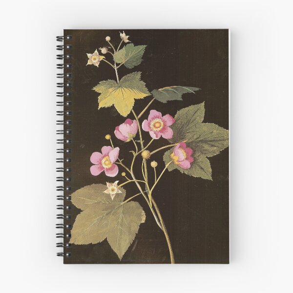 Item preview, Mary Delany - Rubus odoratus L. - Flower Paper Collage designed and sold by softbluehum.
