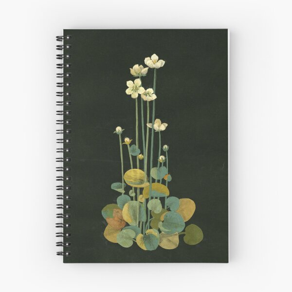 Item preview, Mary Delany - Parnassium palustris - Botanical Paper Collage designed and sold by softbluehum.