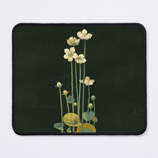 Item preview, Mary Delany - Parnassium palustris - Botanical Paper Collage designed and sold by softbluehum.