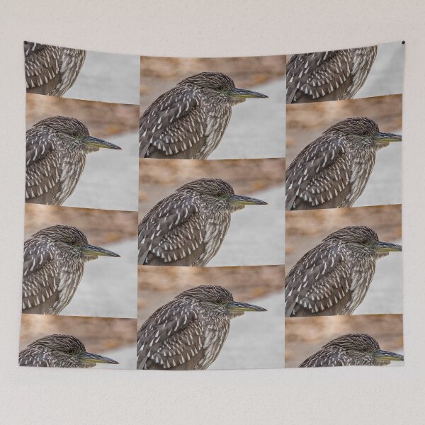 Item preview, Black Crowned Juvenile Night Heron designed and sold by CarolM.