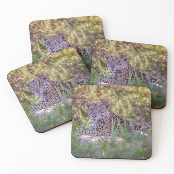 Item preview, Jaguar Relaxing Pantanal Brazil designed and sold by PhotoArt by Joan Carroll.