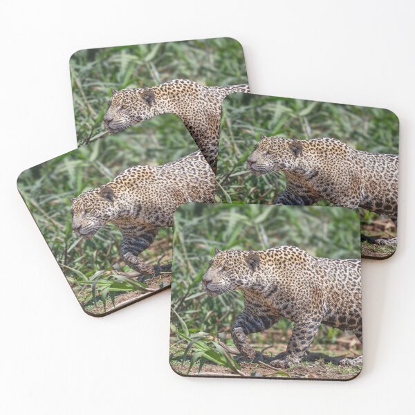 Item preview, Jaguar on the Prowl 5 Pantanal Brazil designed and sold by PhotoArt by Joan Carroll.