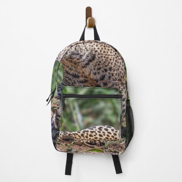 Item preview, Jaguar on the Prowl 5 Pantanal Brazil designed and sold by PhotoArt by Joan Carroll.