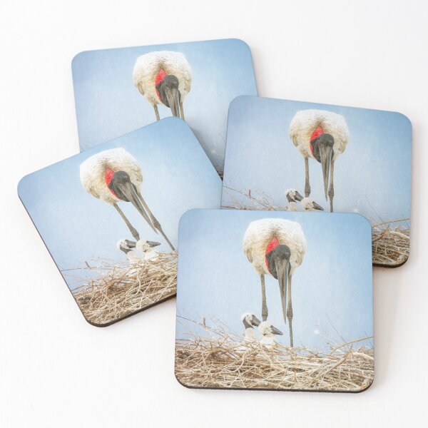 Item preview, Jabiru Stork Adult and Two Chicks Pantanal Brazil designed and sold by PhotoArt by Joan Carroll.