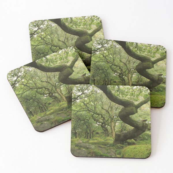 Item preview, Primeval forest designed and sold by miradorpictures.