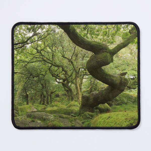 Item preview, Primeval forest designed and sold by miradorpictures.