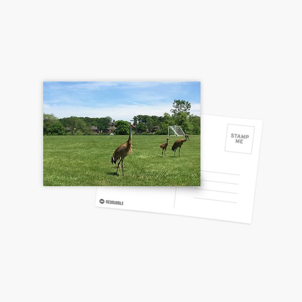 Item preview, Sandhill Afternoon-Park Path designed and sold by Dactyline.
