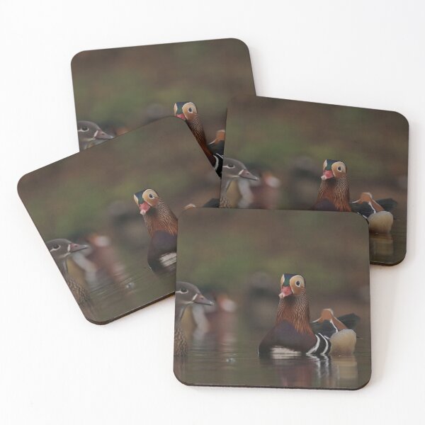 Item preview, Perked up  designed and sold by miradorpictures.