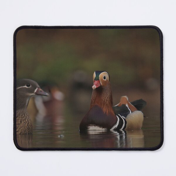Item preview, Perked up designed and sold by miradorpictures.