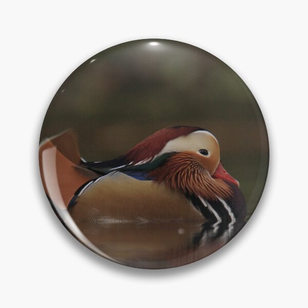 Item preview, Let sleeping ducks lie designed and sold by miradorpictures.