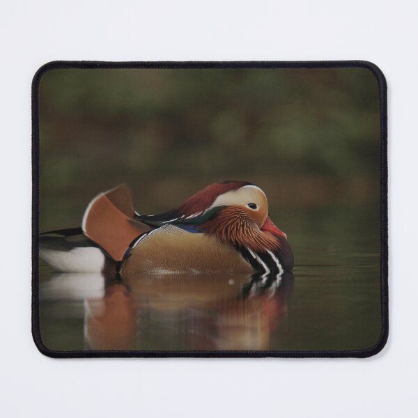 Item preview, Let sleeping ducks lie designed and sold by miradorpictures.