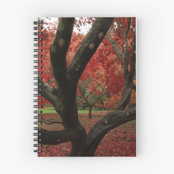 Item preview, Deep reds of autumn  designed and sold by miradorpictures.