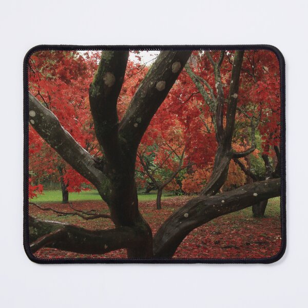 Item preview, Deep reds of autumn  designed and sold by miradorpictures.