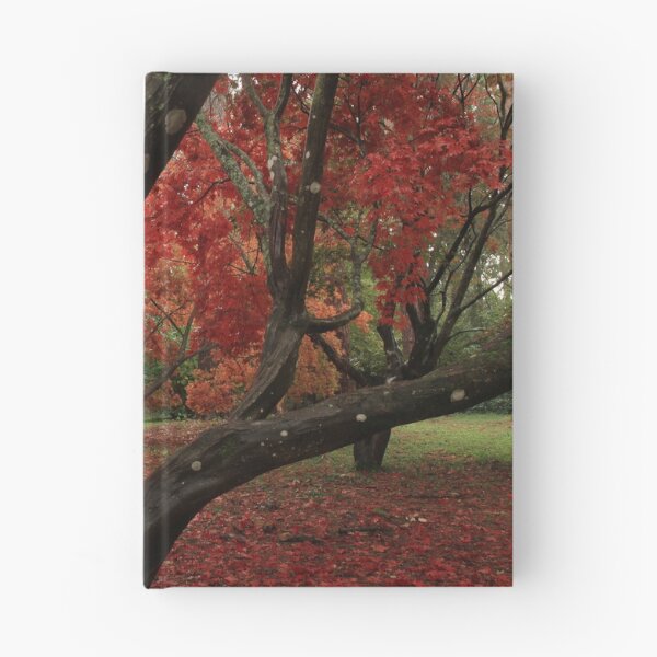 Item preview, Deep reds of autumn  designed and sold by miradorpictures.