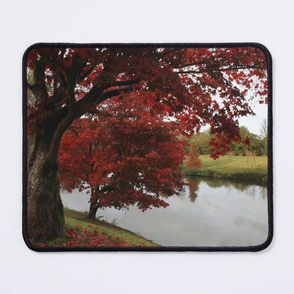 Item preview, Lakes fall  designed and sold by miradorpictures.
