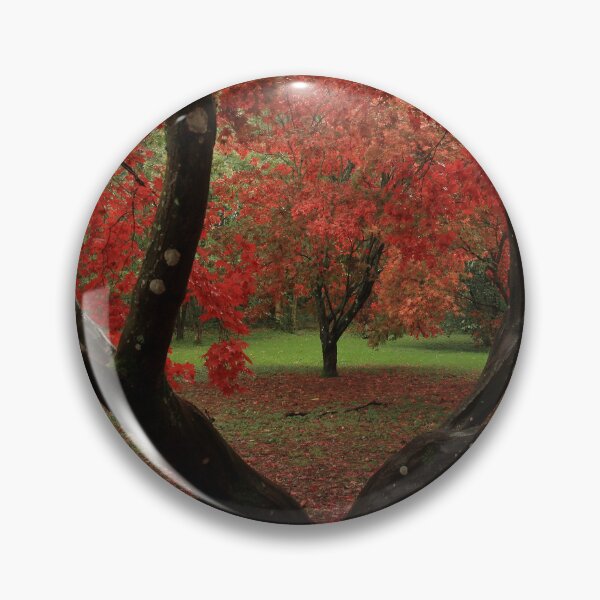 Artikelvorschau, Ahorne im Herbst entworfen und verkauft von miradorpictures.