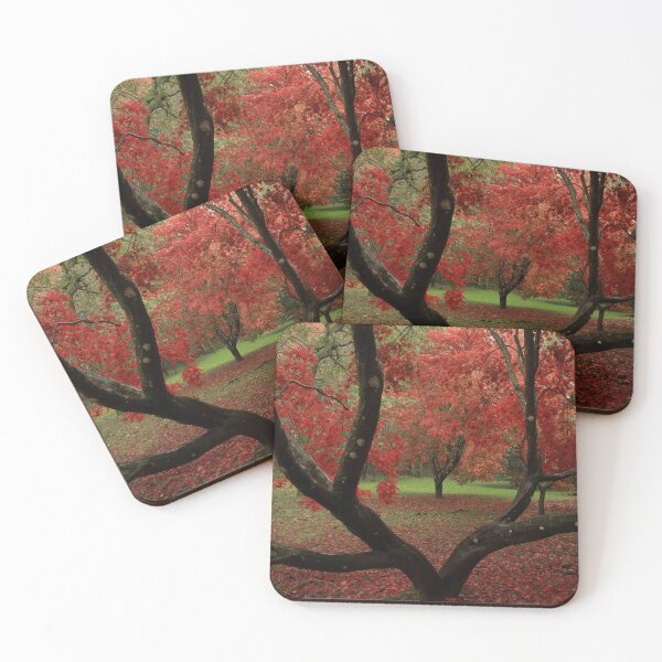 Item preview, Acers in Autumn  designed and sold by miradorpictures.