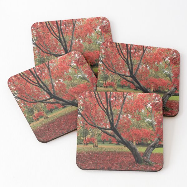Item preview, Through the Acer designed and sold by miradorpictures.