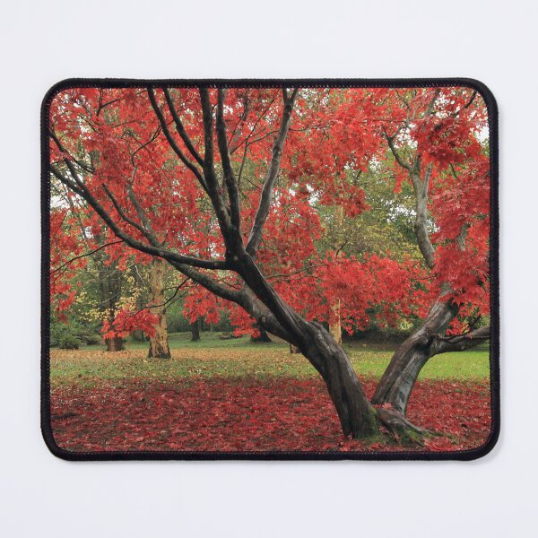 Item preview, Through the Acer designed and sold by miradorpictures.
