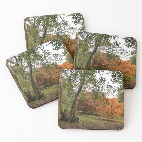 Item preview, Park life designed and sold by miradorpictures.