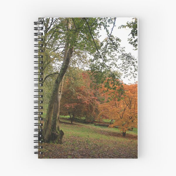 Item preview, Park life designed and sold by miradorpictures.