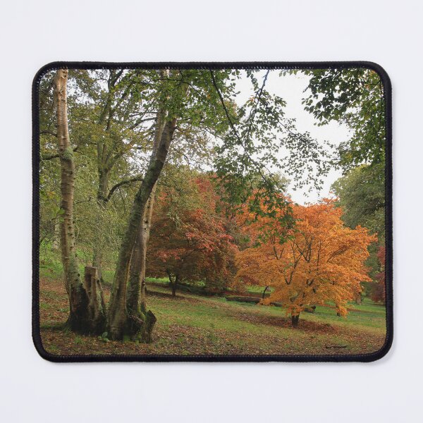 Item preview, Park life designed and sold by miradorpictures.