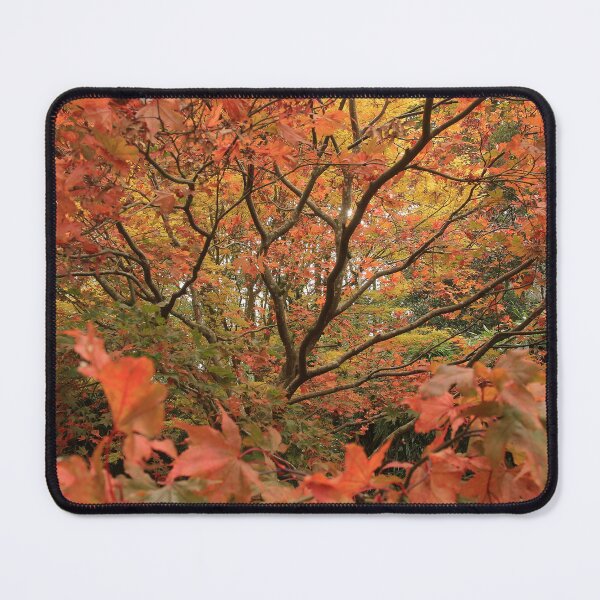 Item preview, Blazing Acer designed and sold by miradorpictures.