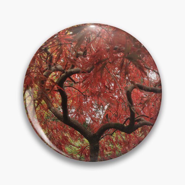 Item preview, Autumn Acers  designed and sold by miradorpictures.