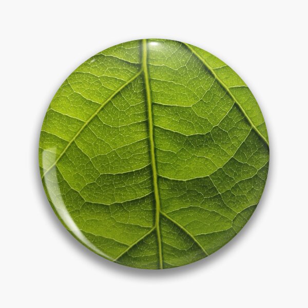Item preview, avocado tree leaf texture  designed and sold by Ben-Schaal.