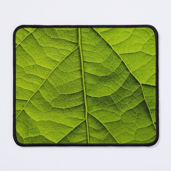 Item preview, avocado tree leaf texture designed and sold by Ben-Schaal.
