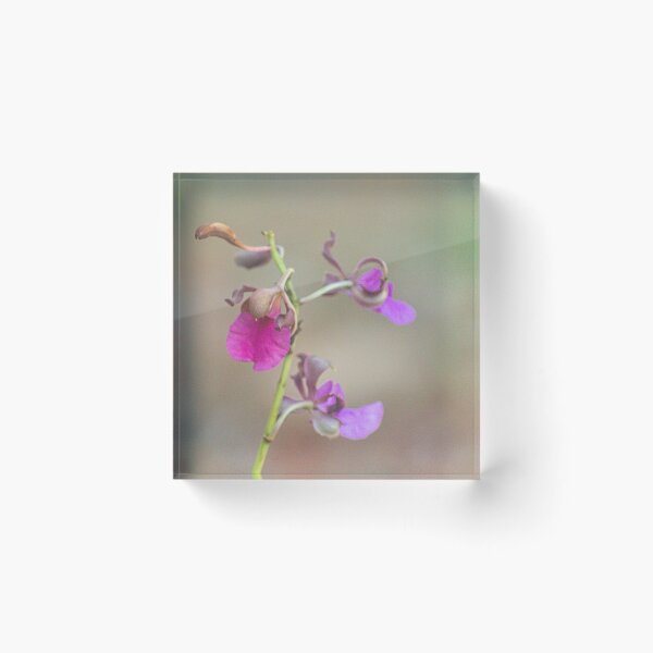Item preview, Alk lily designed and sold by pcfyi.