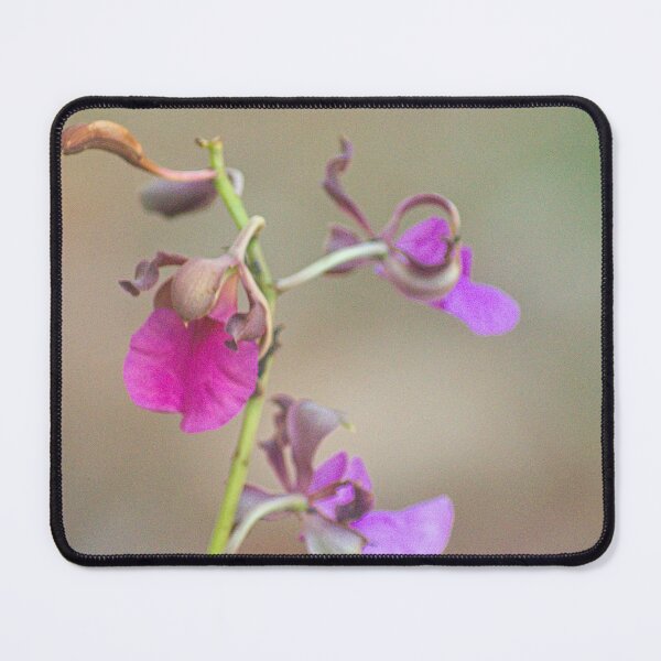 Item preview, Alk lily designed and sold by pcfyi.