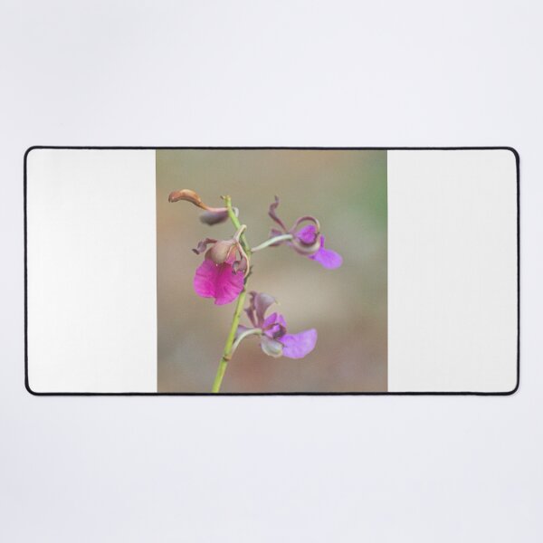Item preview, Alk lily designed and sold by pcfyi.