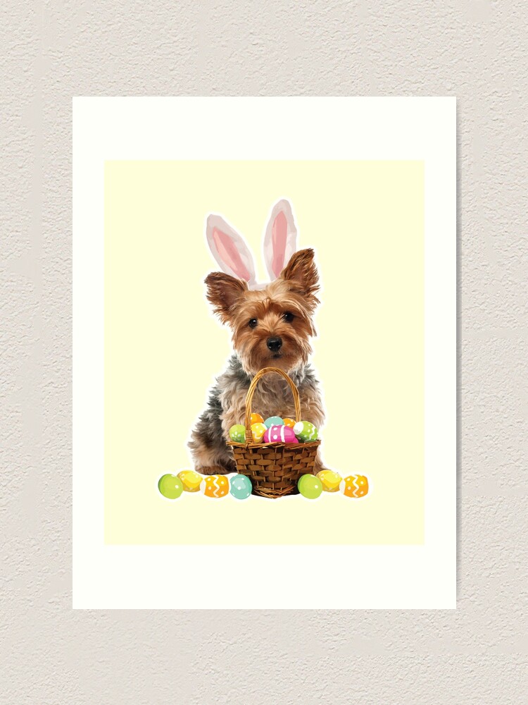 Yorkie Easter Shirt Yorkshire Terrier Bunny Rabbit Ears