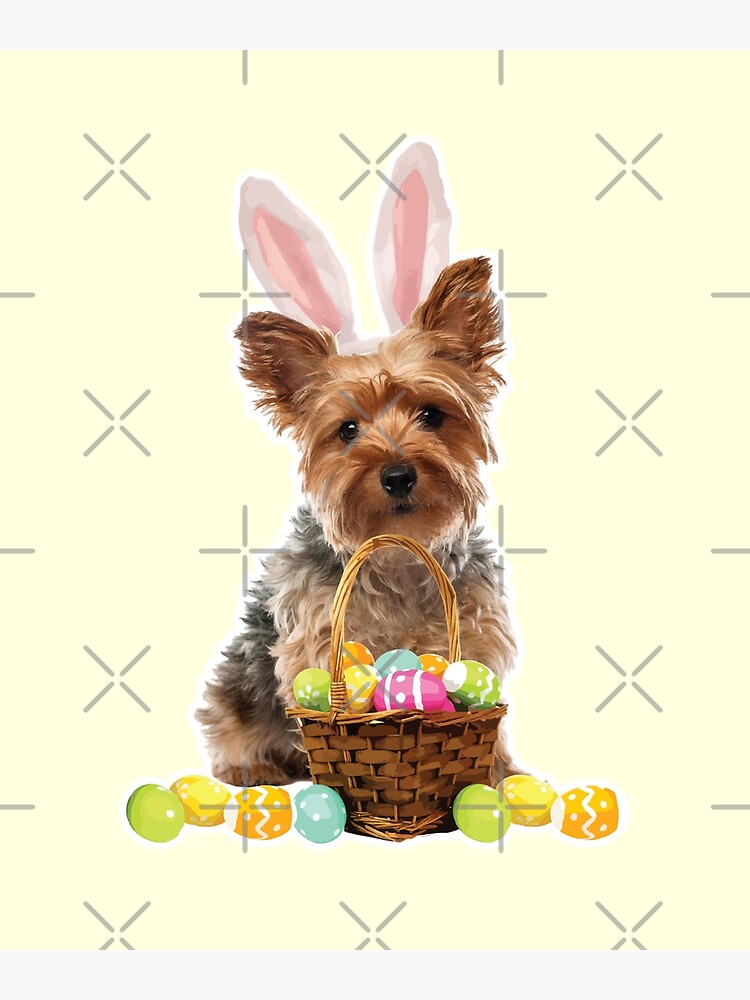 Yorkie Easter Shirt Yorkshire Terrier Bunny Rabbit Ears