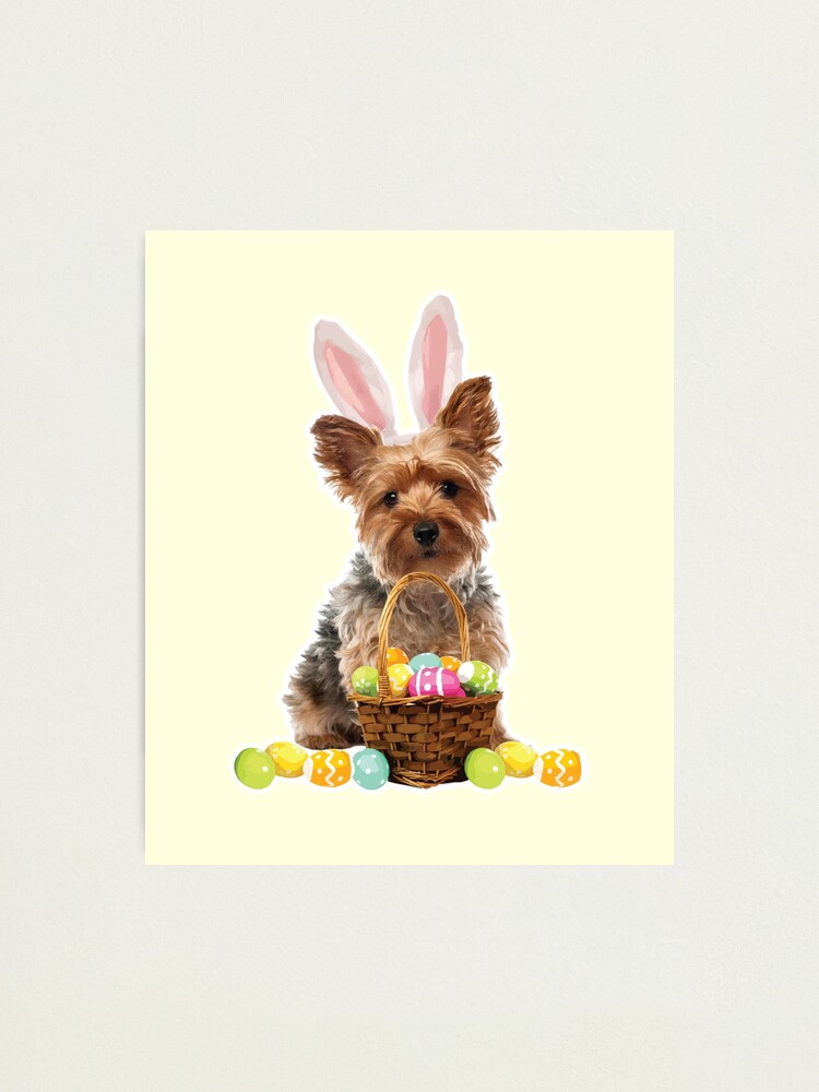 Yorkie Easter Shirt Yorkshire Terrier Bunny Rabbit Ears
