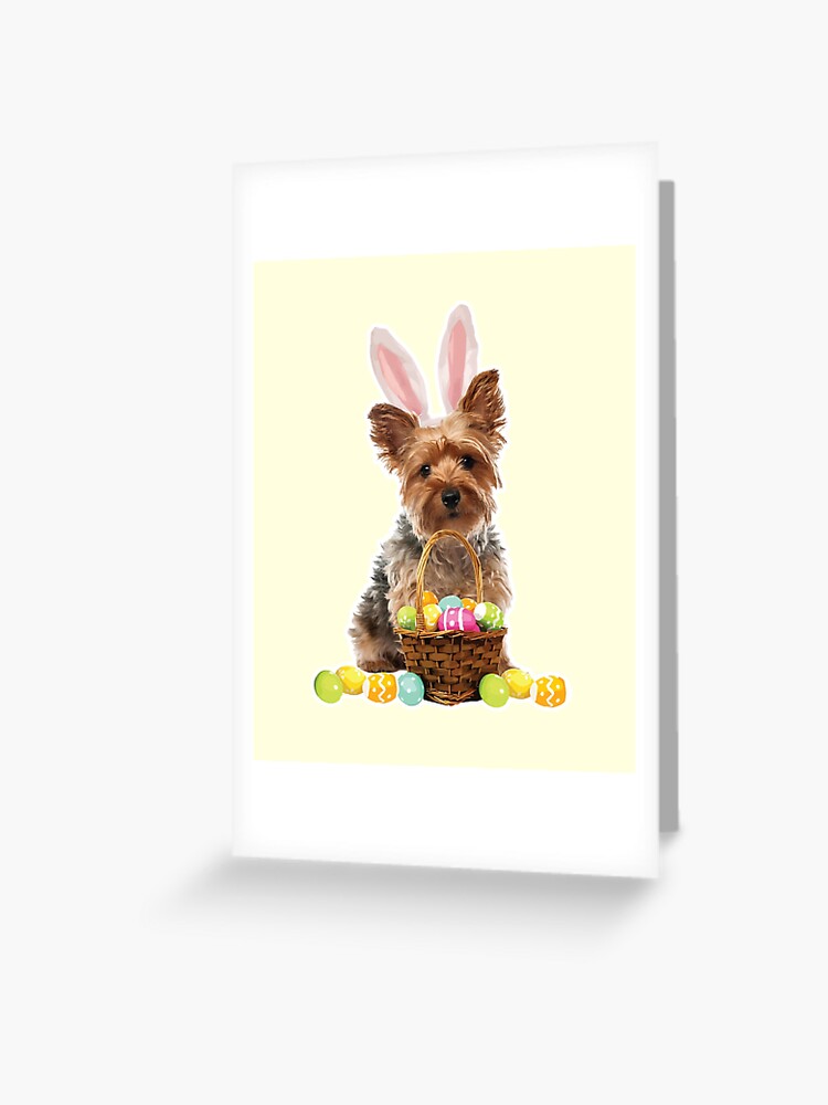 Yorkie Easter Shirt Yorkshire Terrier Bunny Rabbit Ears