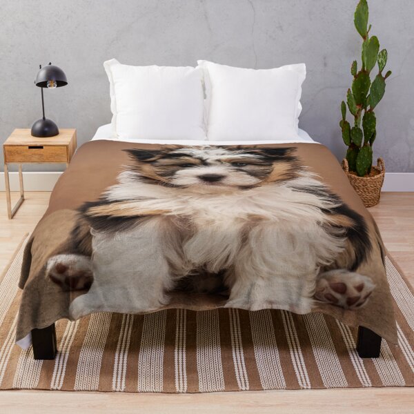 Item preview, Home Decor: Cute Puppy designed and sold by M&M Lifestyle Hub.