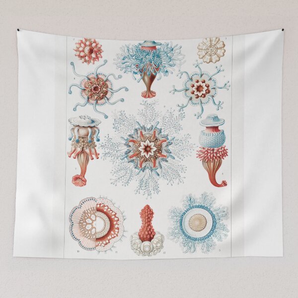 Item preview, Marine Organisms designed and sold by Stardust✨️Art.