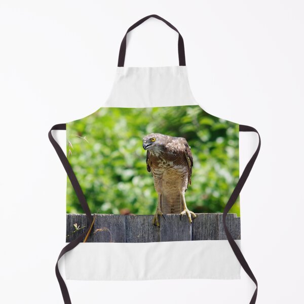 Item preview, Hawk Hunting designed and sold by STGEEVES.