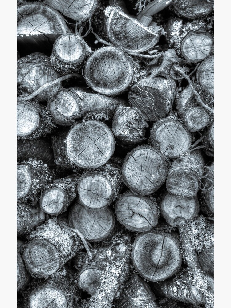 Wood pile by plasticflower